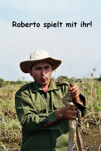 Click on the photo for the original